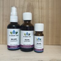 De Groene Linde Balans