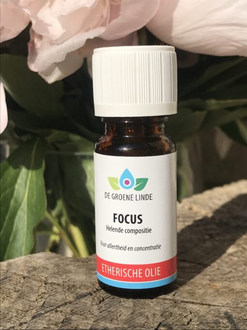 Focus 10ml olie