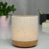 Alesia aroma diffuser