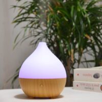 Leo aroma diffuser