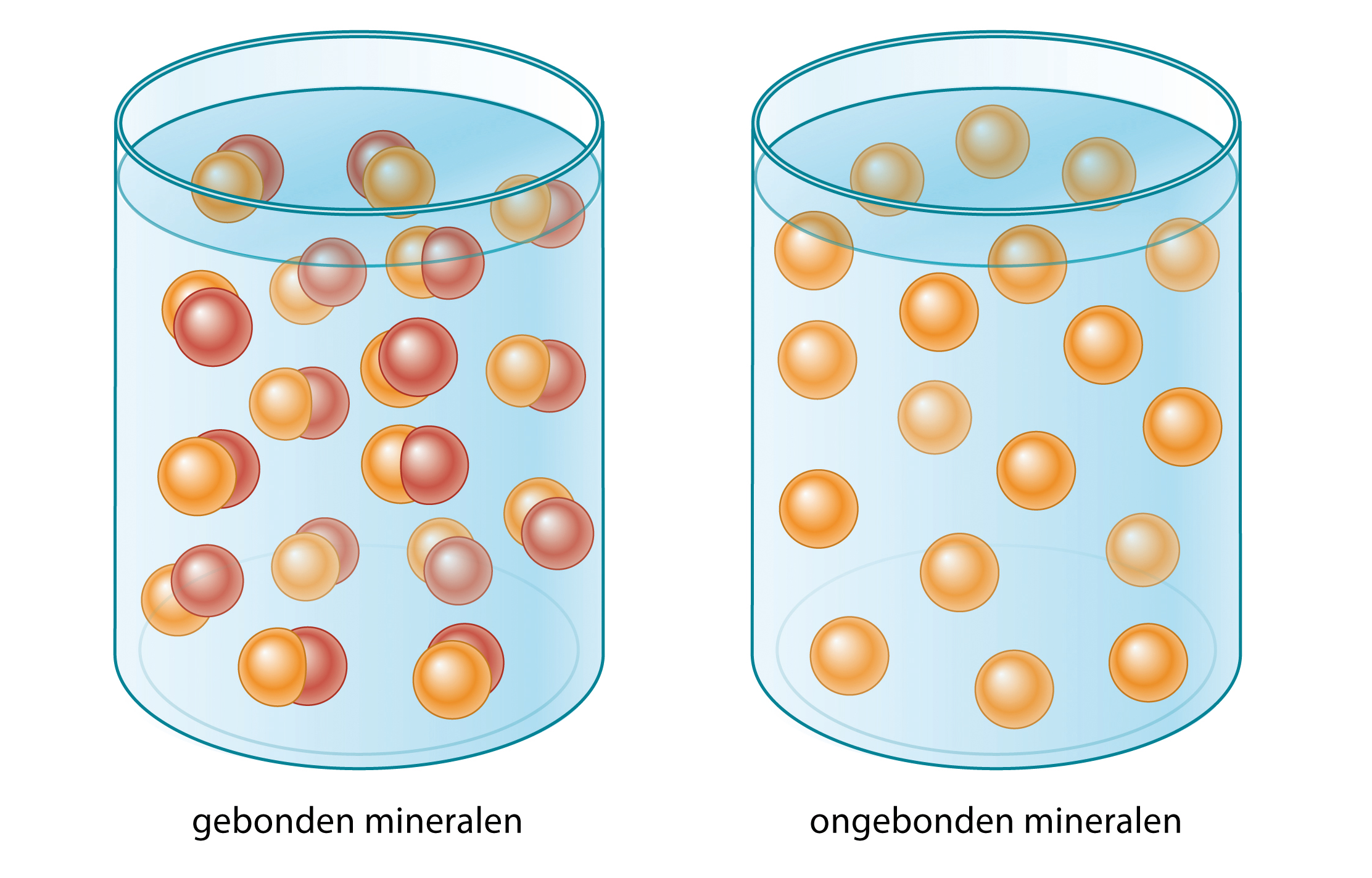 Vitals Elete™ Sportmineralen figuur 1