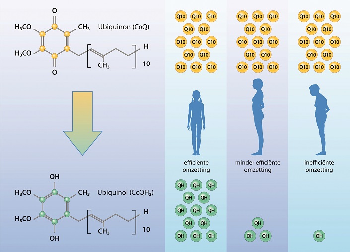 Vitals Ubiquinol 100 mg Figuur 1