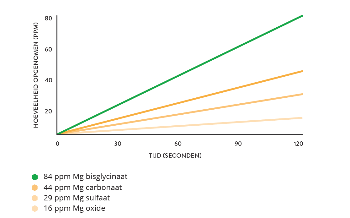 Magnesium-figuur-5-vergelijking-magnesiumverbindingen-NL
