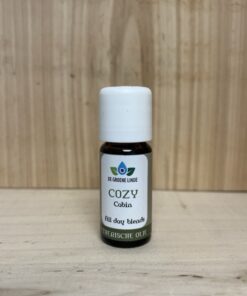 De Groene Linde Cozy Cabin