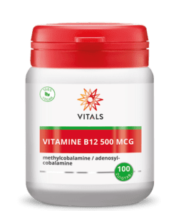 Vitamine B12 500mcg V4430