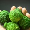 Bergamot De GroeneLinde