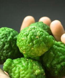 Bergamot De GroeneLinde