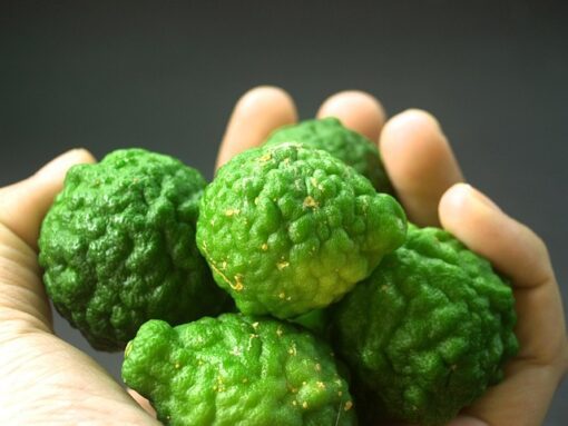 Bergamot De GroeneLinde