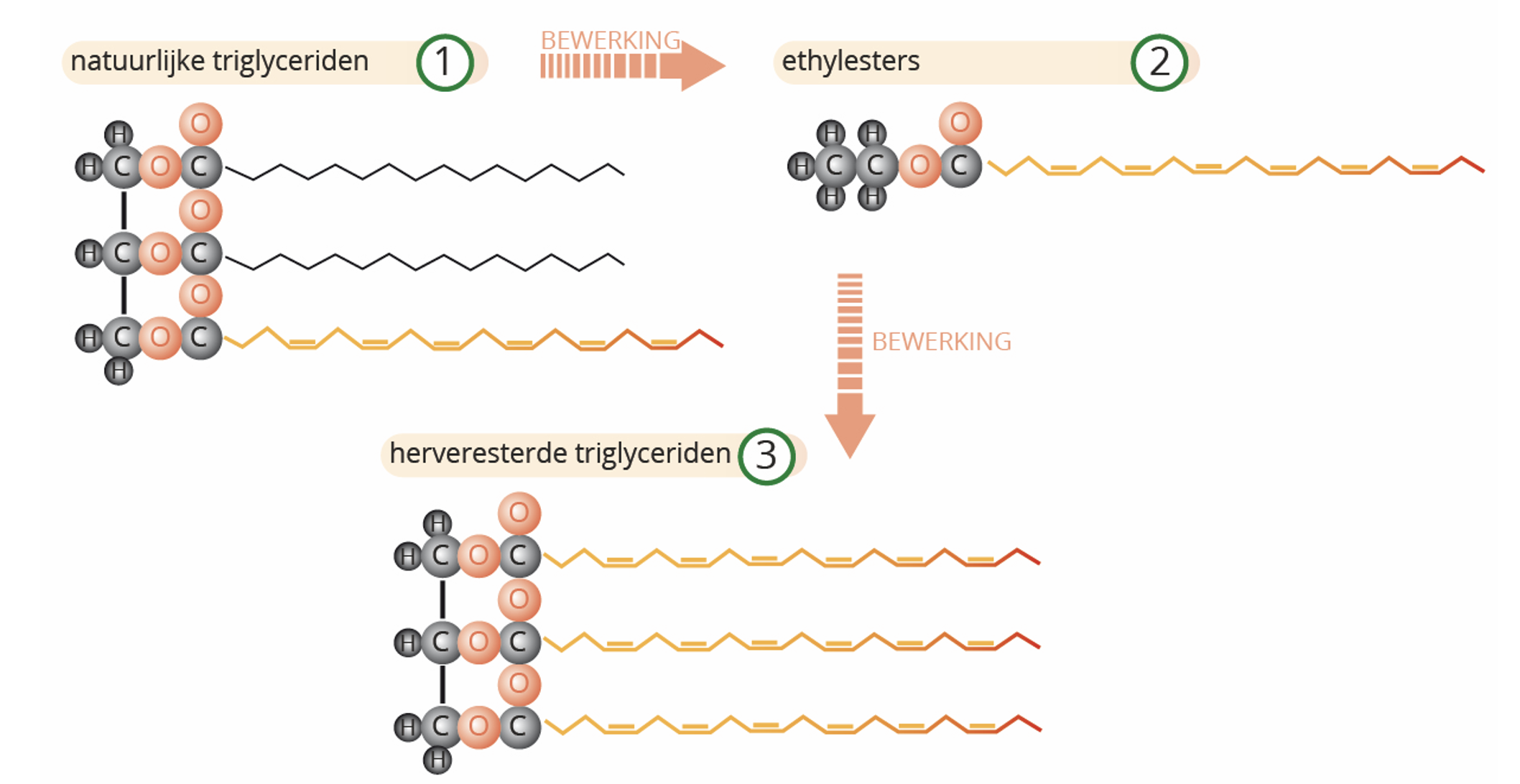 Vitals Ultra Pure EPA/DHA Sport