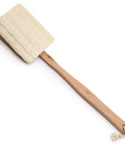 Badborstel met Lange Steel Loofha